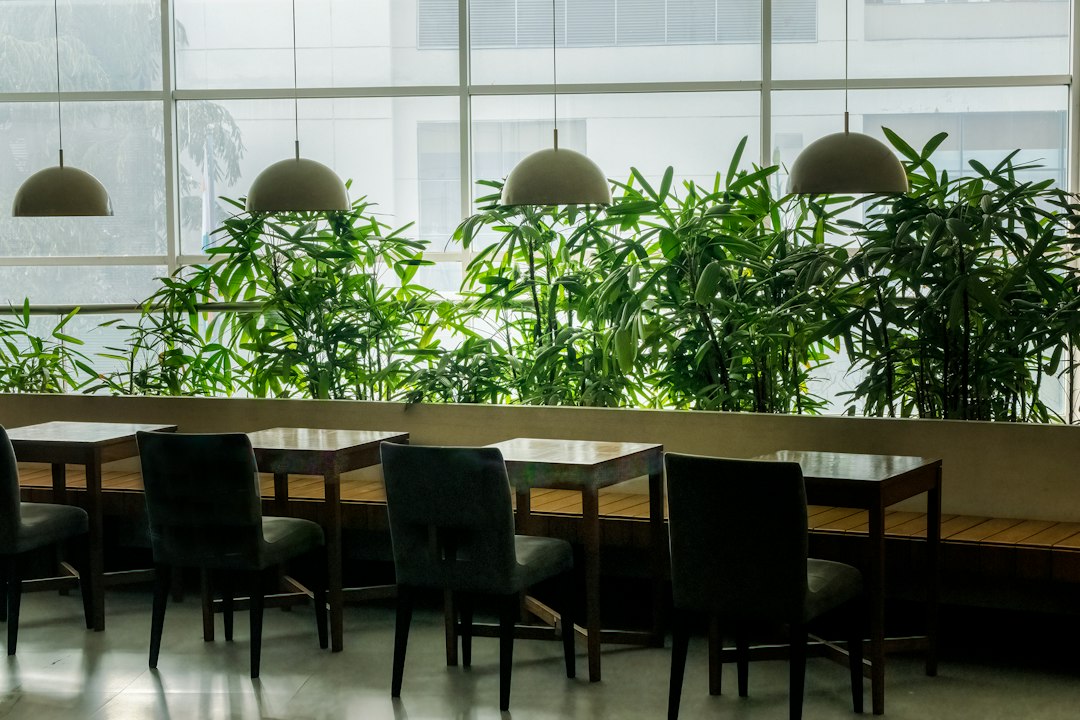 restaurant and cafe interior planning